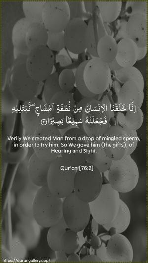 Al-Insaan Ayah 2 - Arabic + English wallpaper
