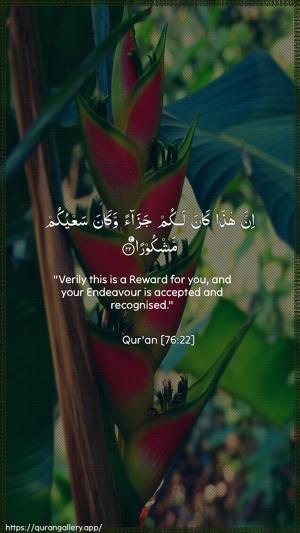 Al-Insaan Ayah 22 - Arabic + English wallpaper