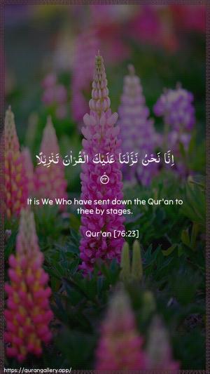 Al-Insaan Ayah 23 - Arabic + English wallpaper