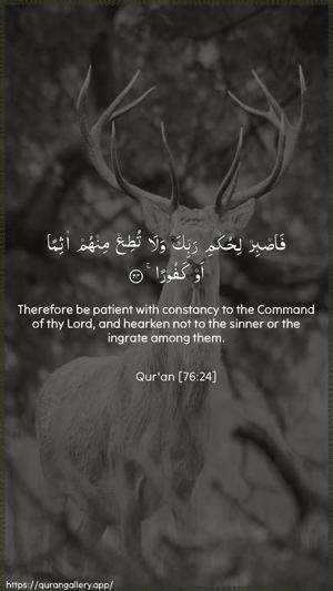 Al-Insaan Ayah 24 - Arabic + English wallpaper