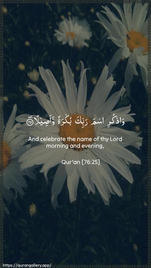 Al-Insaan Ayah 25 - Arabic + English wallpaper