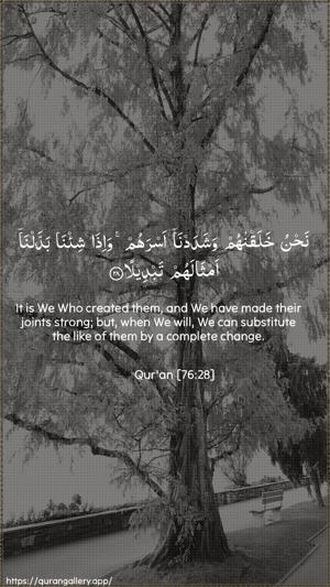 Al-Insaan Ayah 28 - Arabic + English wallpaper