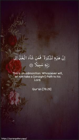 Al-Insaan Ayah 29 - Arabic + English wallpaper
