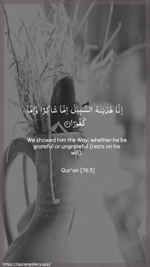 Al-Insaan Ayah 3 - Arabic + English wallpaper