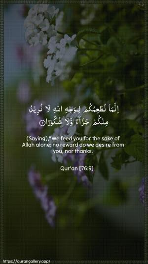 Al-Insaan Ayah 9 - Arabic + English wallpaper