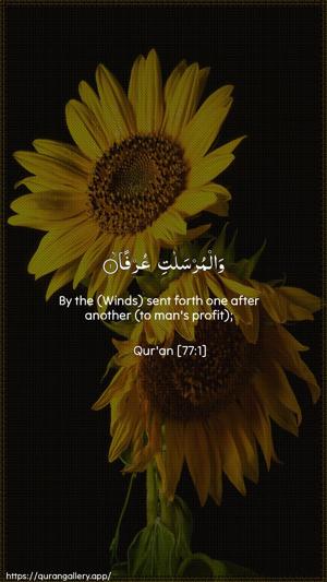 Al-Mursalaat Ayah 1 - Arabic + English wallpaper