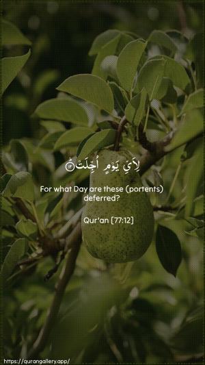 Al-Mursalaat Ayah 12 - Arabic + English wallpaper