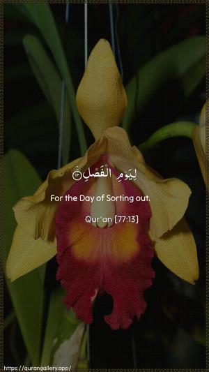 Al-Mursalaat Ayah 13 - Arabic + English wallpaper