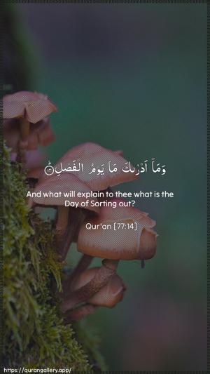 Al-Mursalaat Ayah 14 - Arabic + English wallpaper