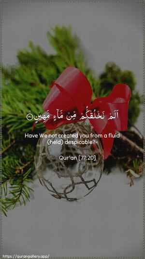 Al-Mursalaat Ayah 20 - Arabic + English wallpaper