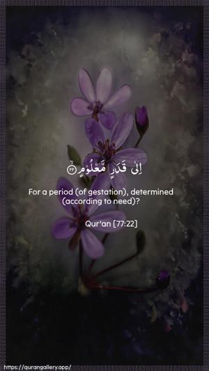 Al-Mursalaat Ayah 22 - Arabic + English wallpaper