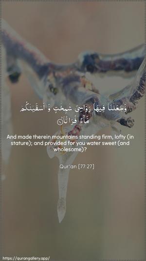 Al-Mursalaat Ayah 27 - Arabic + English wallpaper