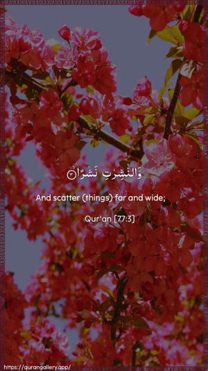 Al-Mursalaat Ayah 3 - Arabic + English wallpaper