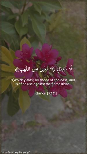 Al-Mursalaat Ayah 31 - Arabic + English wallpaper