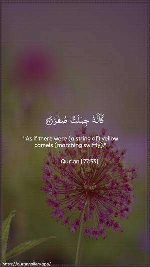 Al-Mursalaat Ayah 33 - Arabic + English wallpaper