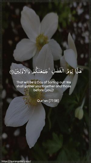 Al-Mursalaat Ayah 38 - Arabic + English wallpaper