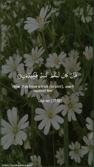 Al-Mursalaat Ayah 39 - Arabic + English wallpaper