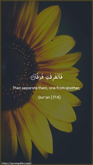 Al-Mursalaat Ayah 4 - Arabic + English wallpaper