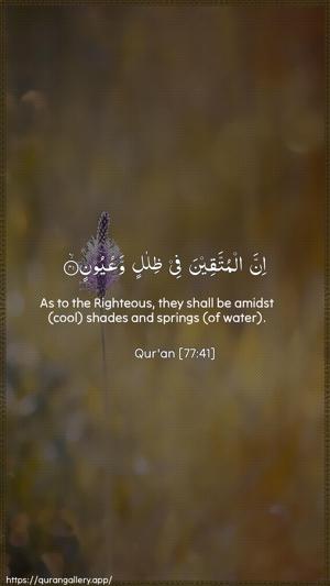 Al-Mursalaat Ayah 41 - Arabic + English wallpaper