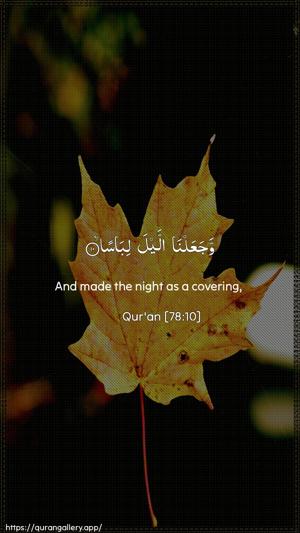 An-Naba Ayah 10 - Arabic + English wallpaper