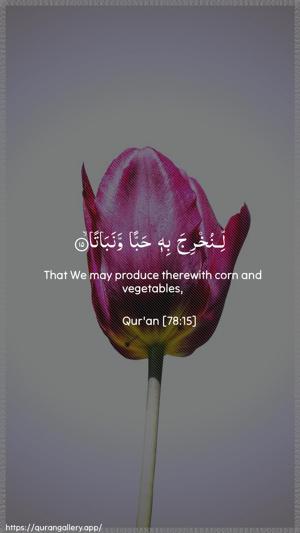 An-Naba Ayah 15 - Arabic + English wallpaper