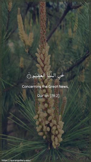 An-Naba Ayah 2 - Arabic + English wallpaper