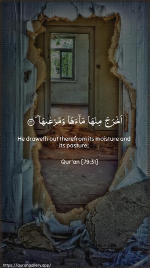 An-Naazi"aat Ayah 31 - Arabic + English wallpaper