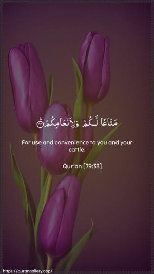An-Naazi"aat Ayah 33 - Arabic + English wallpaper