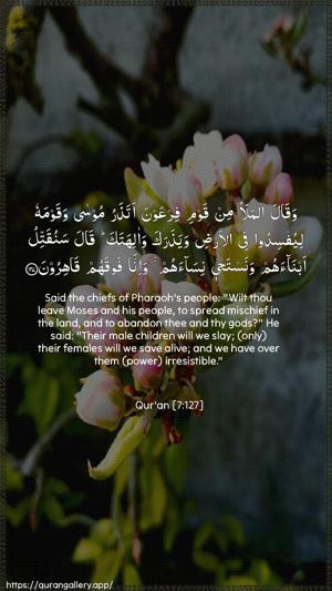 Al-A"raaf Ayah 127 - Arabic + English wallpaper