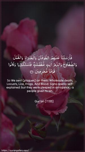 Al-A"raaf Ayah 133 - Arabic + English wallpaper