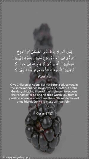 Al-A"raaf Ayah 27 - Arabic + English wallpaper
