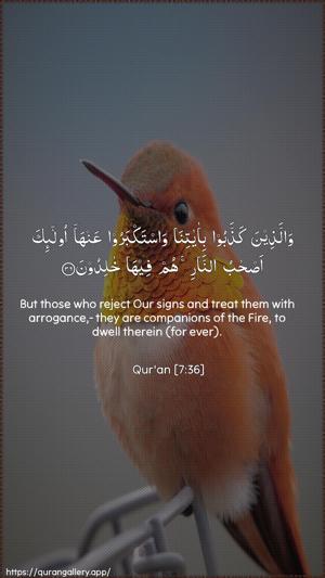 Al-A"raaf Ayah 36 - Arabic + English wallpaper