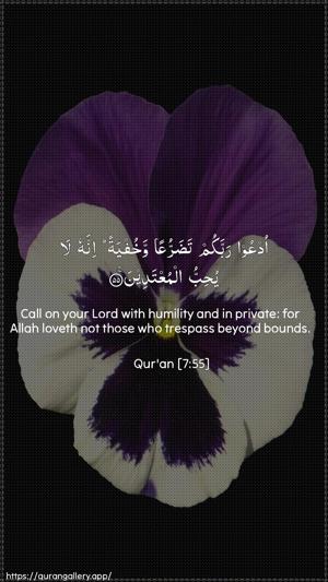 Al-A"raaf Ayah 55 - Arabic + English wallpaper