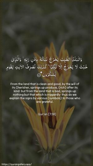 Al-A"raaf Ayah 58 - Arabic + English wallpaper
