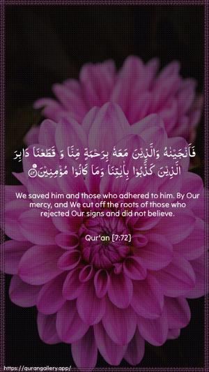 Al-A"raaf Ayah 72 - Arabic + English wallpaper