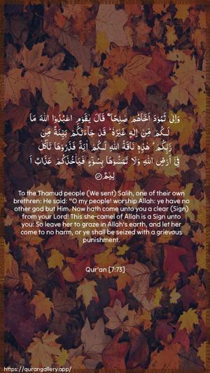 Al-A"raaf Ayah 73 - Arabic + English wallpaper