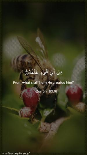 Abasa Ayah 18 - Arabic + English wallpaper