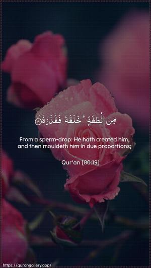 Abasa Ayah 19 - Arabic + English wallpaper
