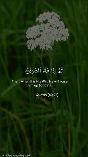 Abasa Ayah 22 - Arabic + English wallpaper