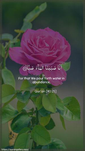 Abasa Ayah 25 - Arabic + English wallpaper