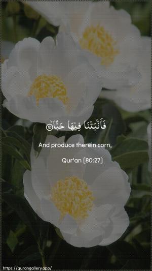 Abasa Ayah 27 - Arabic + English wallpaper