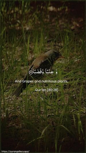 Abasa Ayah 28 - Arabic + English wallpaper