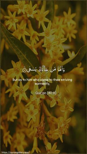Abasa Ayah 8 - Arabic + English wallpaper