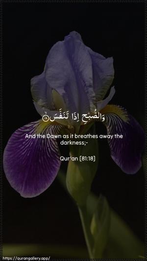 At-Takwir Ayah 18 - Arabic + English wallpaper
