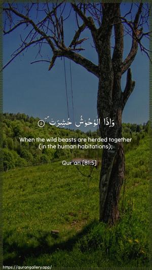 At-Takwir Ayah 5 - Arabic + English wallpaper