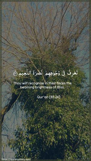 Al-Mutaffifin Ayah 24 - Arabic + English wallpaper