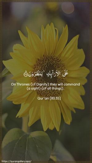 Al-Mutaffifin Ayah 35 - Arabic + English wallpaper