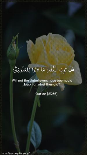 Al-Mutaffifin Ayah 36 - Arabic + English wallpaper