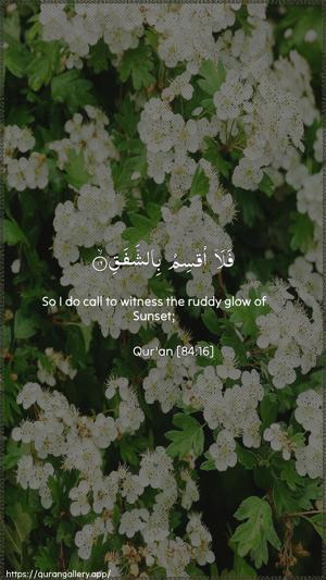 Al-Inshiqaaq Ayah 16 - Arabic + English wallpaper