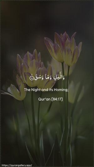 Al-Inshiqaaq Ayah 17 - Arabic + English wallpaper